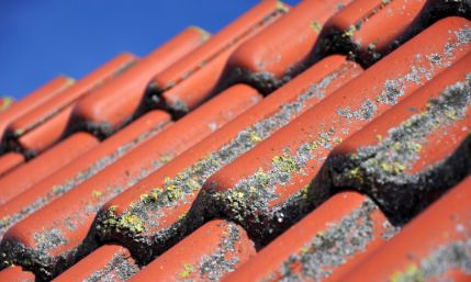 Nettoyage et démoussage de toiture à Montesson (78360) et dans les Yvelines (78)